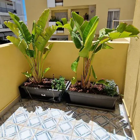 Casa Da Acoteia - Spacious 3 Bedroom Apartment In Faro With Private Terrace شقة فارو