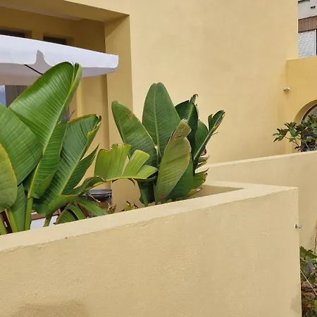Casa Da Acoteia - Spacious 3 Bedroom Apartment In Faro With Private Terrace فارو