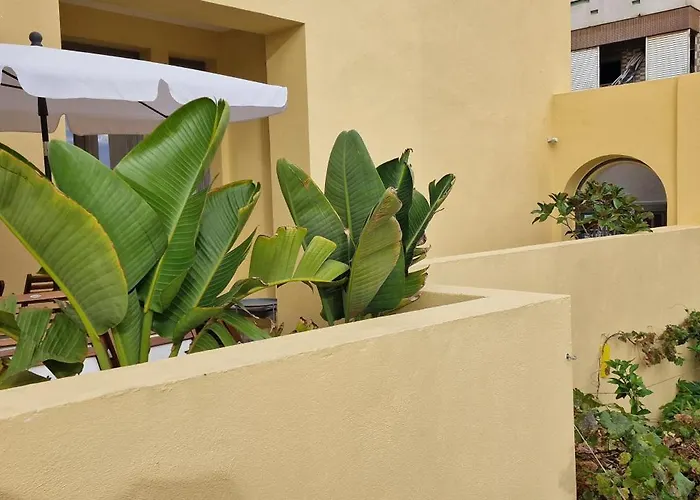 Casa Da Acoteia - Bright Center With A Private Outdoor Terrace Faro