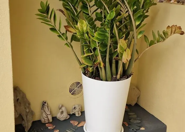 Apartamento Casa Da Açoteia - In Center With Outside Terrace